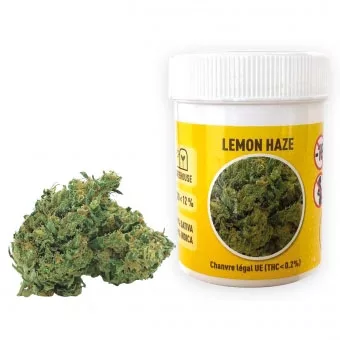 Lemon Haze CBD Flower