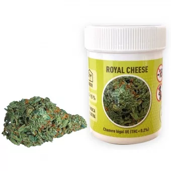 Royal Cheese Fleur de CBD